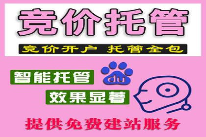 案例解析：推广竞价助力企业实现业绩持续增长